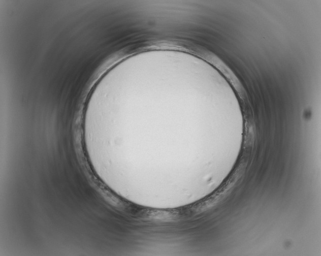 X0000116341002201001131041