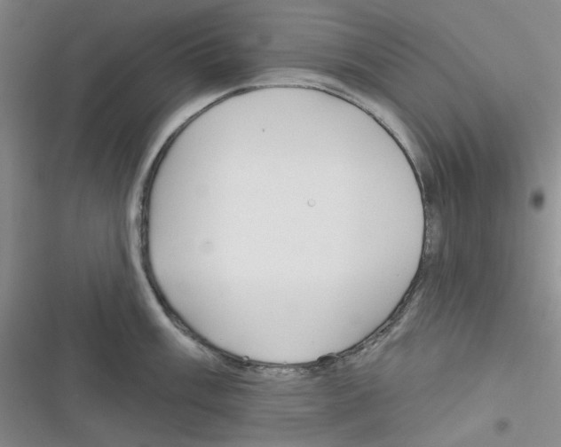 X0000116341003201001131041