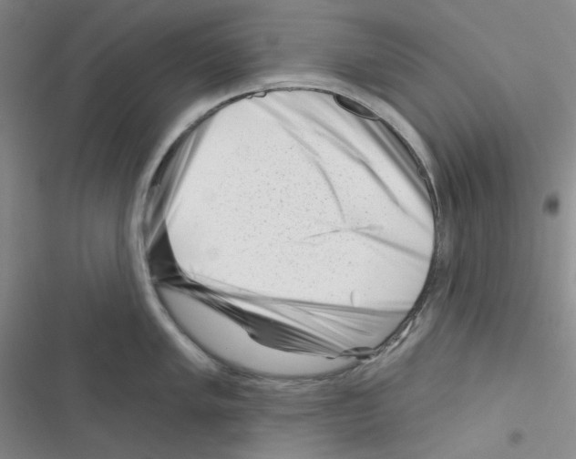 X0000116341005201001131041