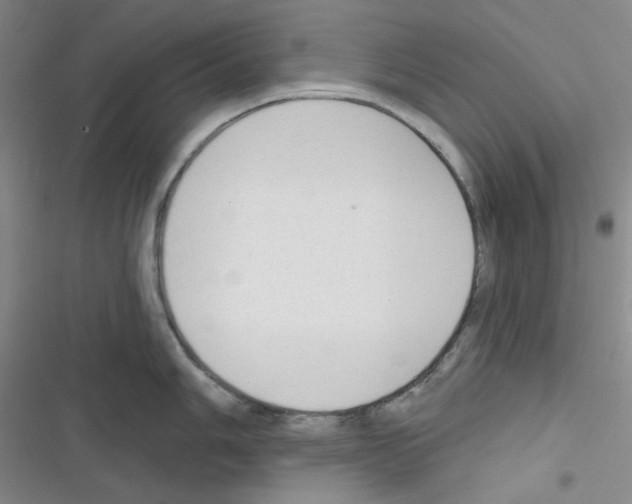 X0000116341006201001131041