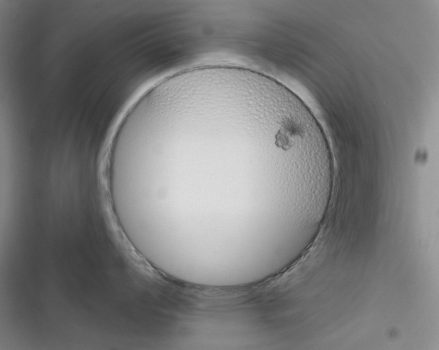 X0000116341008201001131041