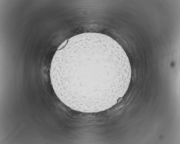 X0000116341010201001131041