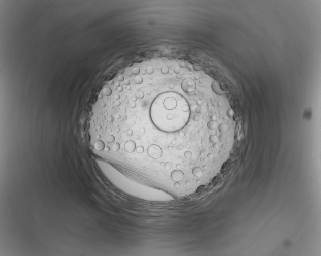 X0000116341011201001131041