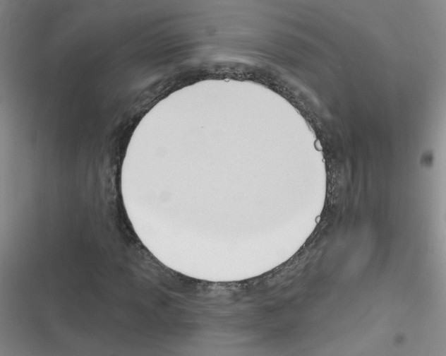 X0000116341013201001131041