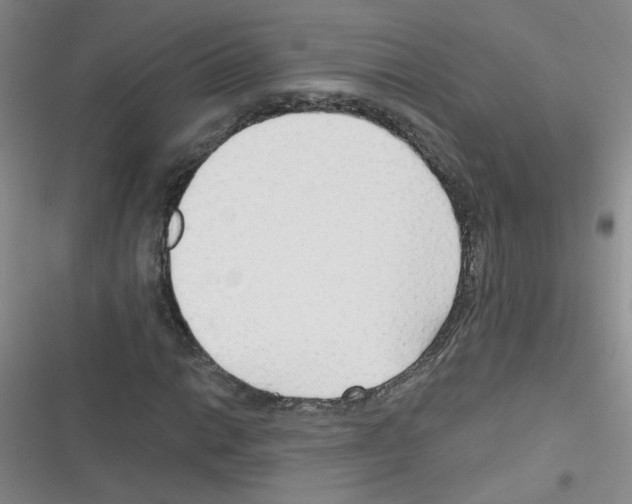 X0000116341014201001131041