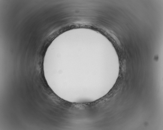 X0000116341015201001131041