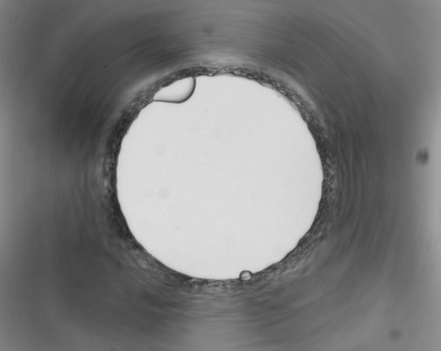 X0000116341016201001131041