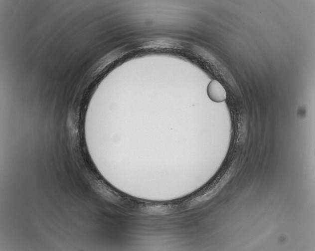 X0000116341017201001131041