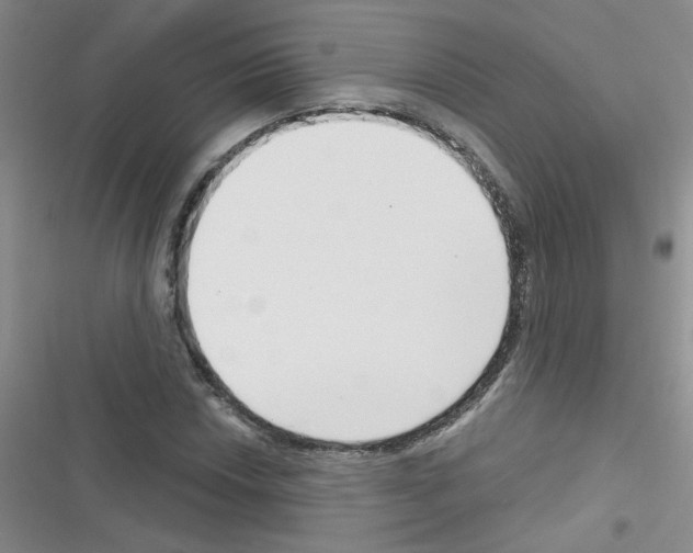 X0000116341018201001131041