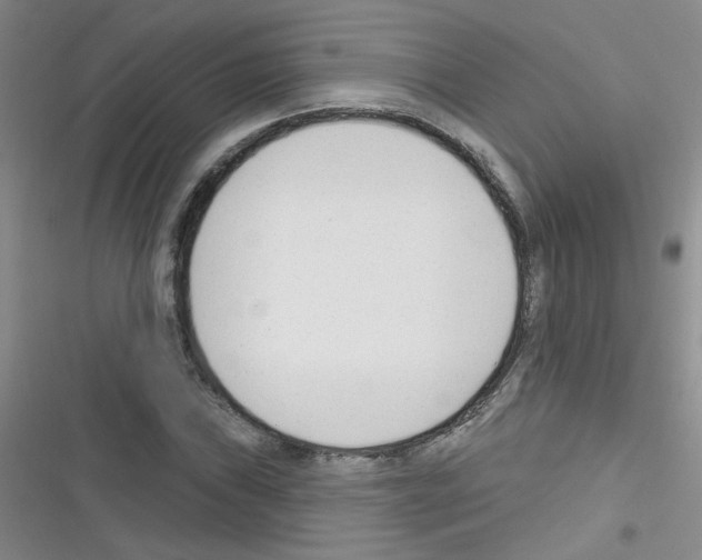 X0000116341019201001131041