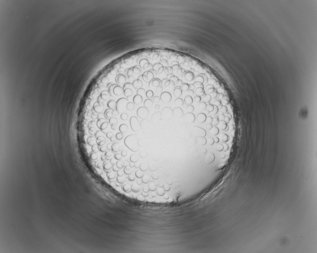 X0000116341020201001131041