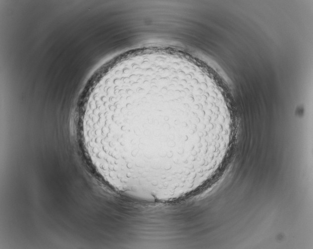 X0000116341021201001131041