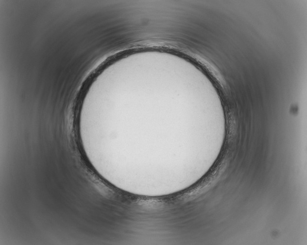 X0000116341023201001131041