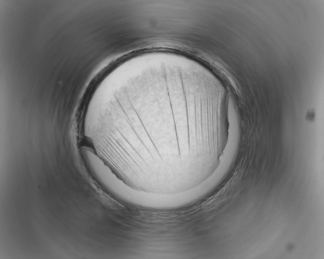 X0000116341024201001131041