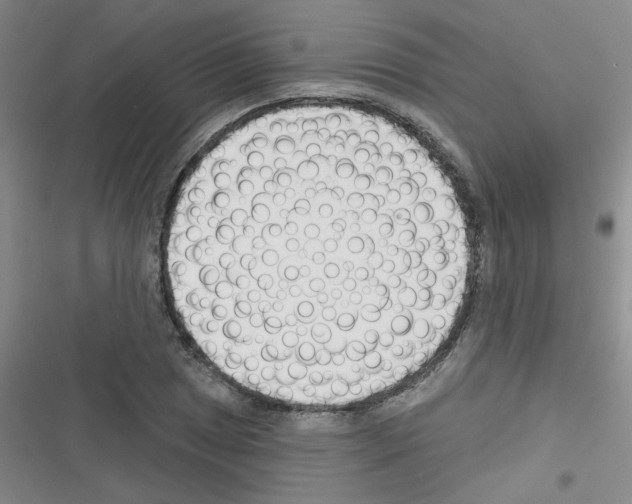 X0000116341025201001131041