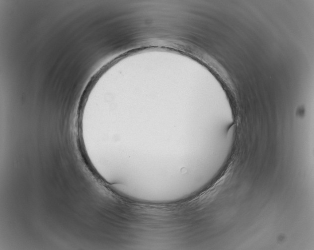 X0000116341028201001131041