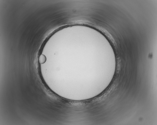 X0000116341031201001131041