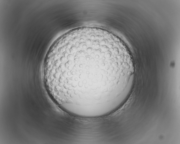 X0000116341032201001131041