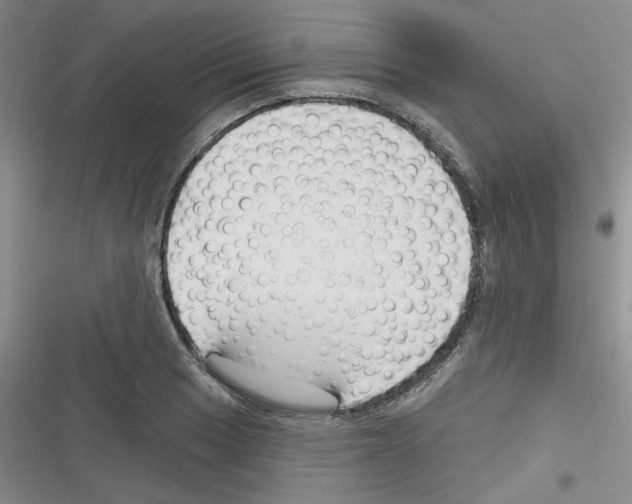 X0000116341033201001131041