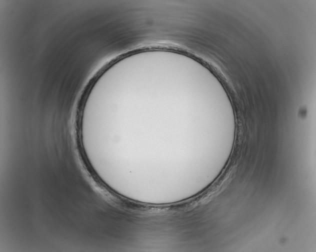 X0000116341038201001131041