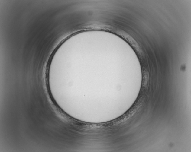 X0000116341039201001131041