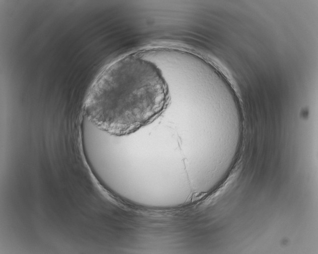 X0000116341041201001131041