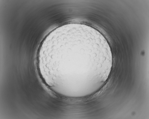 X0000116341042201001131041