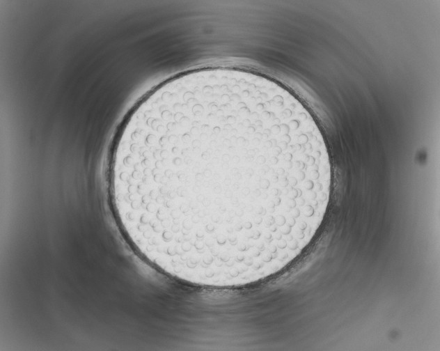 X0000116341046201001131041