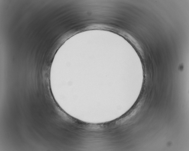 X0000116341049201001131041