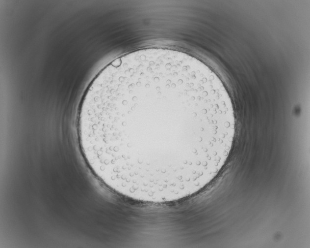 X0000116341050201001131041