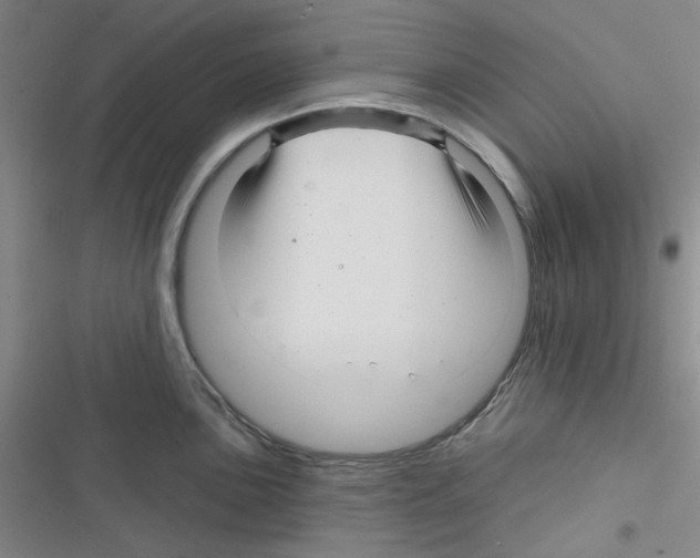 X0000116341051201001131041