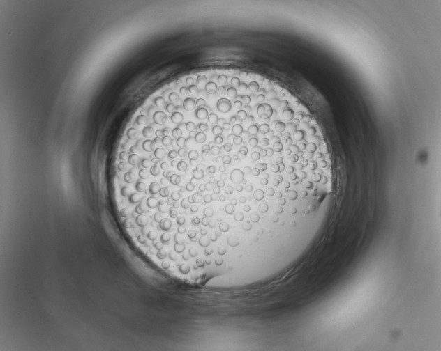 X0000116341054201001131041