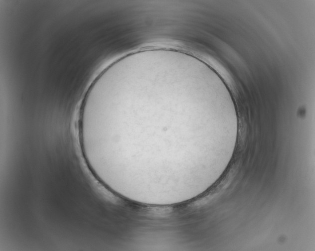 X0000116341055201001131041