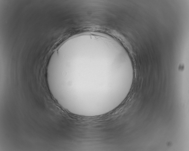 X0000116341057201001131041