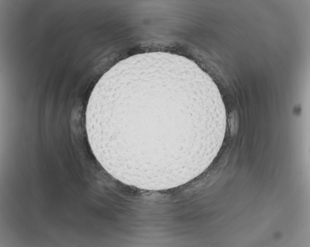 X0000116341059201001131040