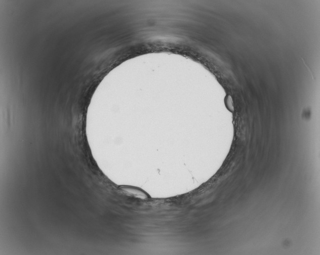 X0000116341061201001131040