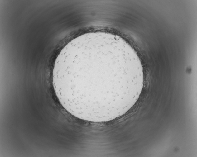 X0000116341062201001131040