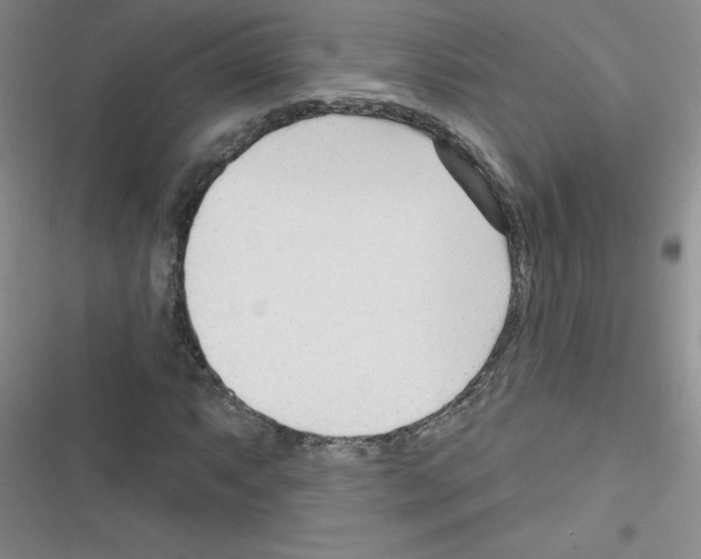 X0000116341063201001131040