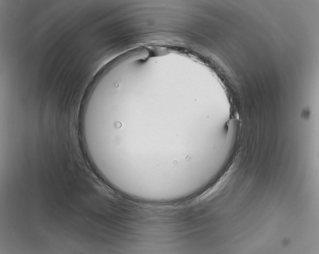 X0000116341065201001131040