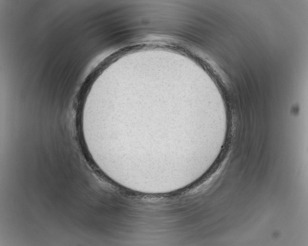 X0000116341066201001131040