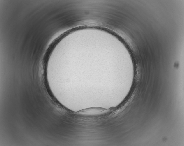 X0000116341070201001131040