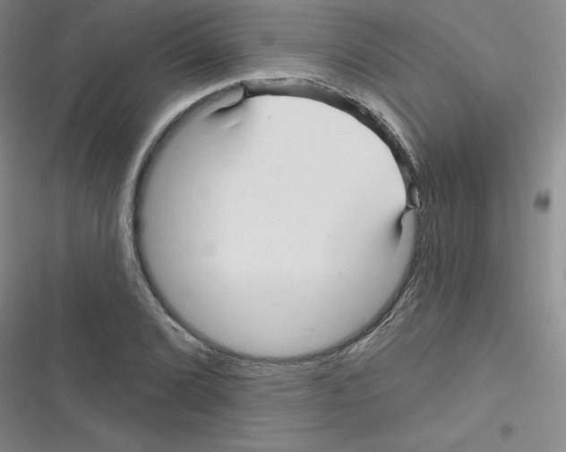 X0000116341072201001131040