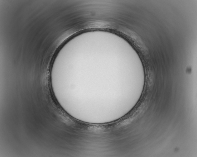 X0000116341073201001131040