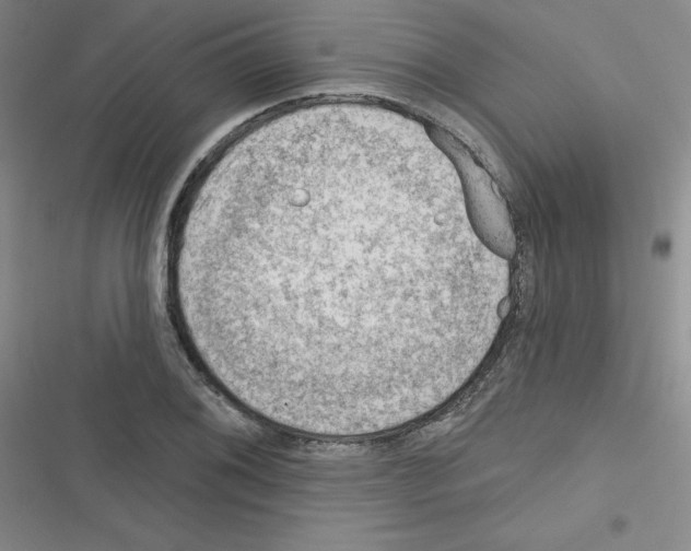 X0000116341076201001131040