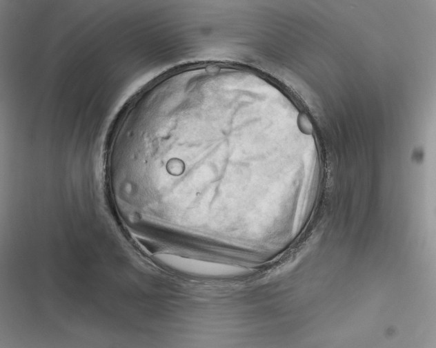 X0000116341077201001131040