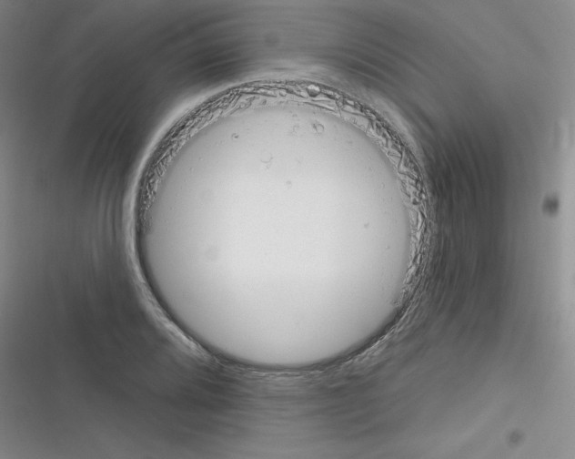 X0000116341080201001131040