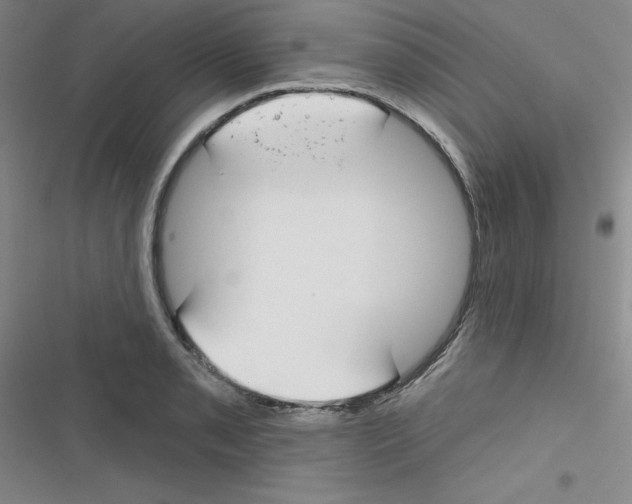 X0000116341085201001131040