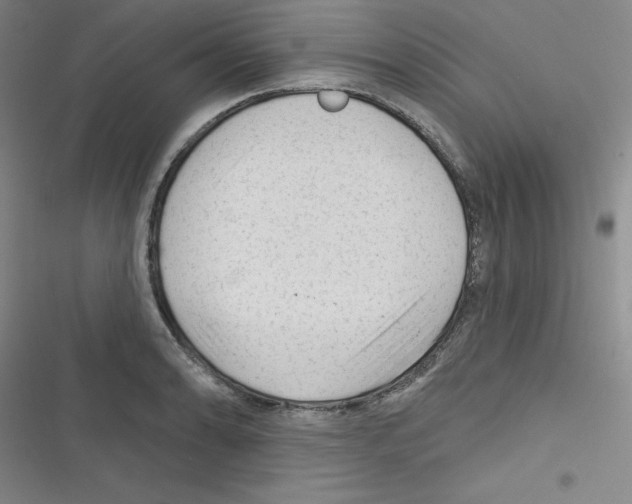 X0000116341086201001131040