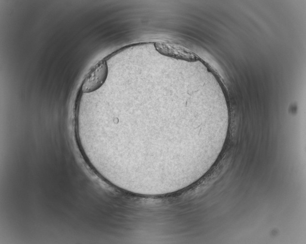 X0000116341088201001131040