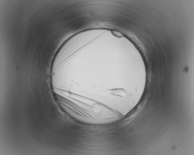 X0000116341089201001131040